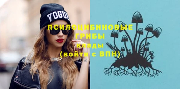стаф Волосово