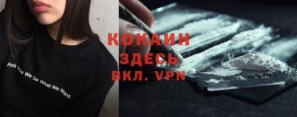 стаф Волосово