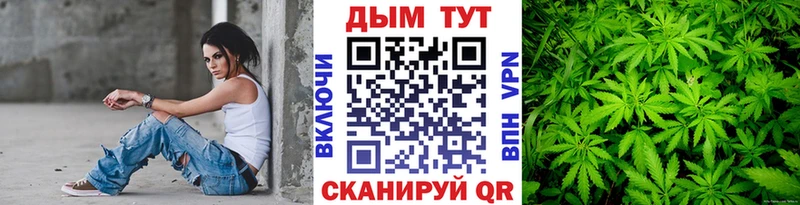 Конопля конопля Калач